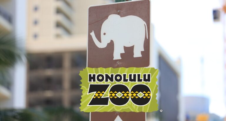 Honolulu Zoo: 42-acres, 1/2 day
