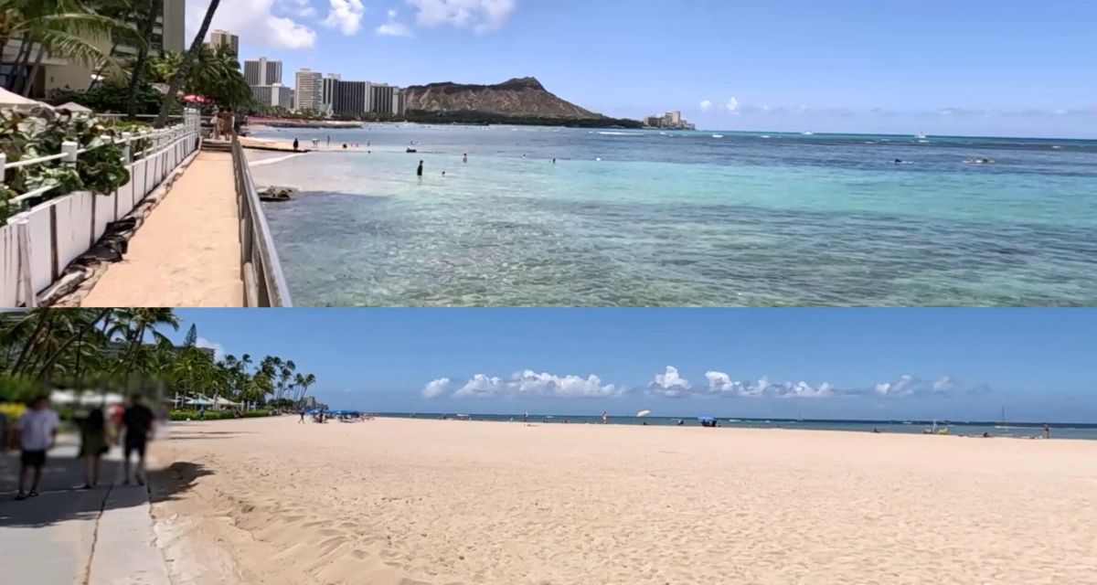What the “BEACH” in front of your WAIKIKI hotel ACTUALLY looks like