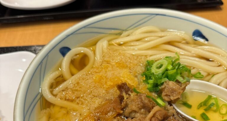 Best VALUE $6 udon | Worth the 238472834 hour wait